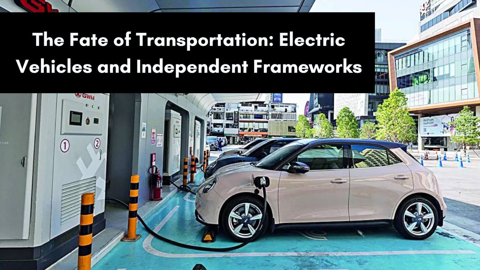 The Fate of Transportation: Electric Vehicles and Independent Frameworks