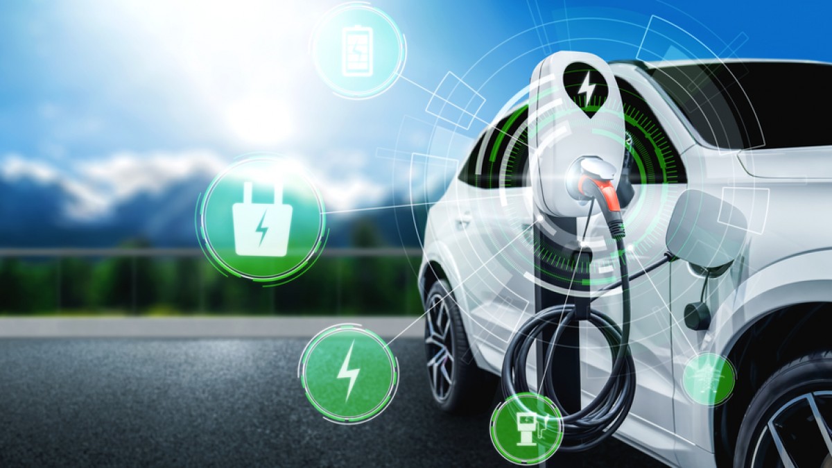 The Role of Government Policies in Promoting EV Adoption